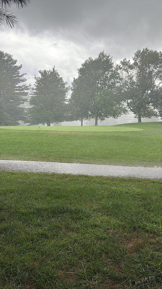 VolpeFreddie's tweet image. Reminder that walking a course is never as fun as it sounds