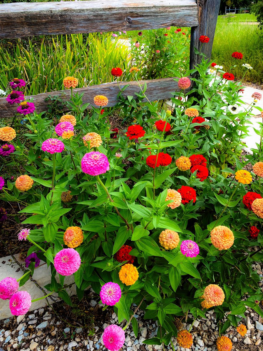 Tony Gardner (@tonytewitty) on Twitter photo 