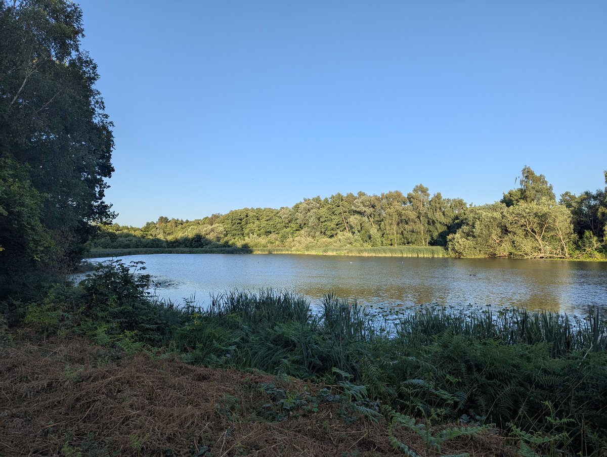 nickbiss39's tweet image. A little lake to the party, sorry! #SmallBeautiesHour #BecauseOfClem #ThreadOfGold