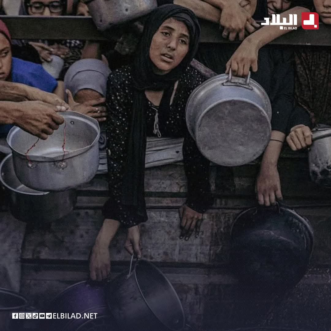 IlyessALG's tweet image. تخيل أن هذا البطن الحمساوي الممتلئ
هو من يُهدر الوقت في المفاوضات
لتستمر المعاناة
لمئات الآلاف من الجوعى في غزة❗️
الذنب الإخونجي بلا رحمة
المهم يُقدم مصالح الحزب على شعبه وهو يفاوض