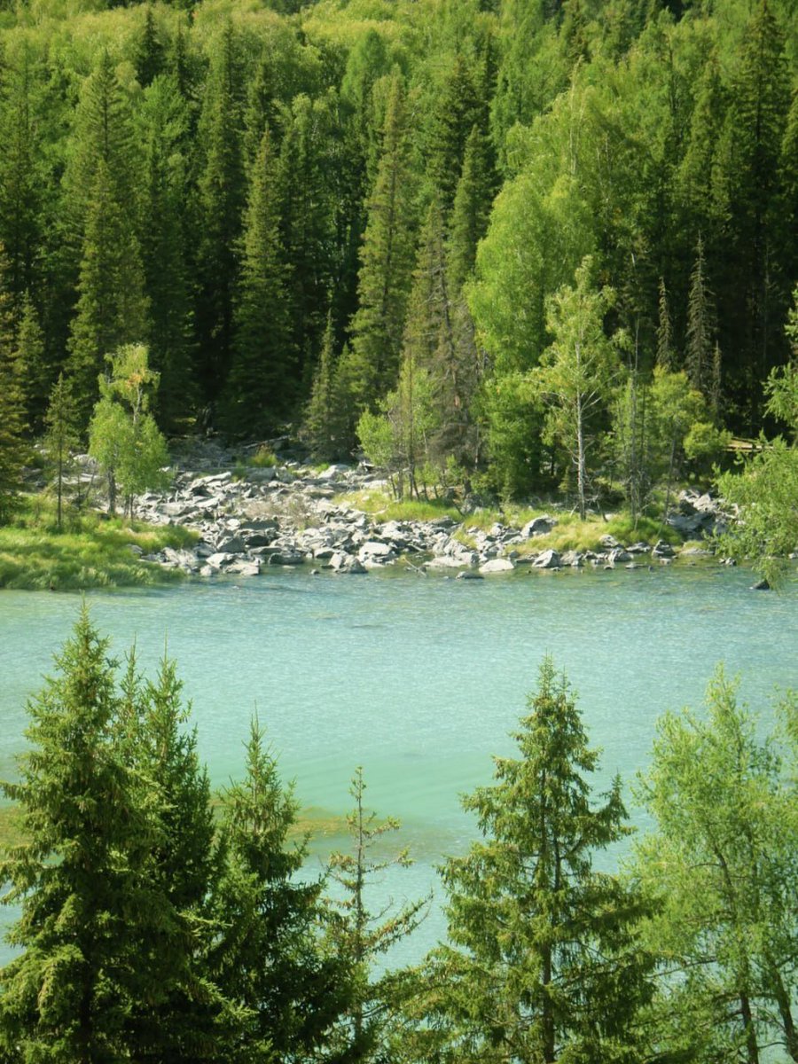 PATHOSRAY's tweet image. I am from Hong Kong  #nature