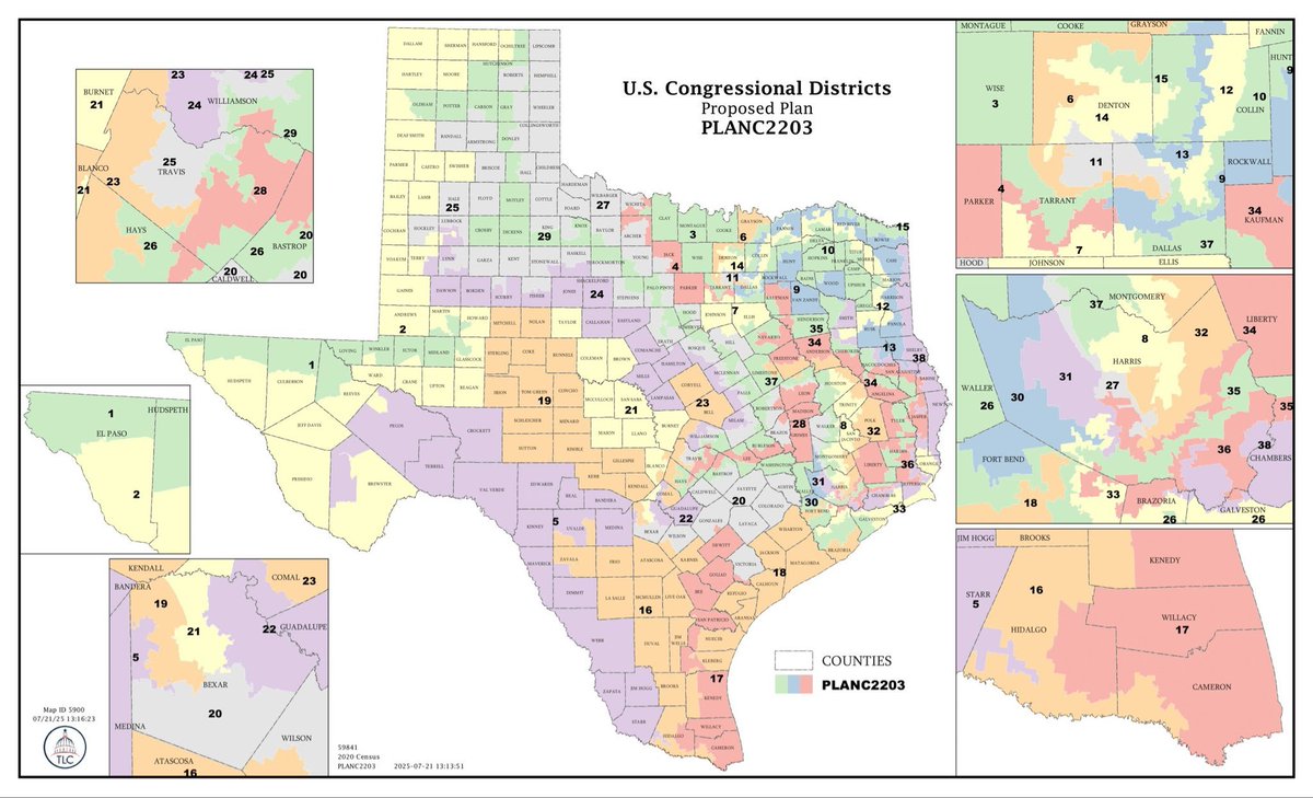 NewsWire_US's tweet image. Texas Redistricting: One Proposed Map Would Wipe Out Almost Every Democratic Seat
