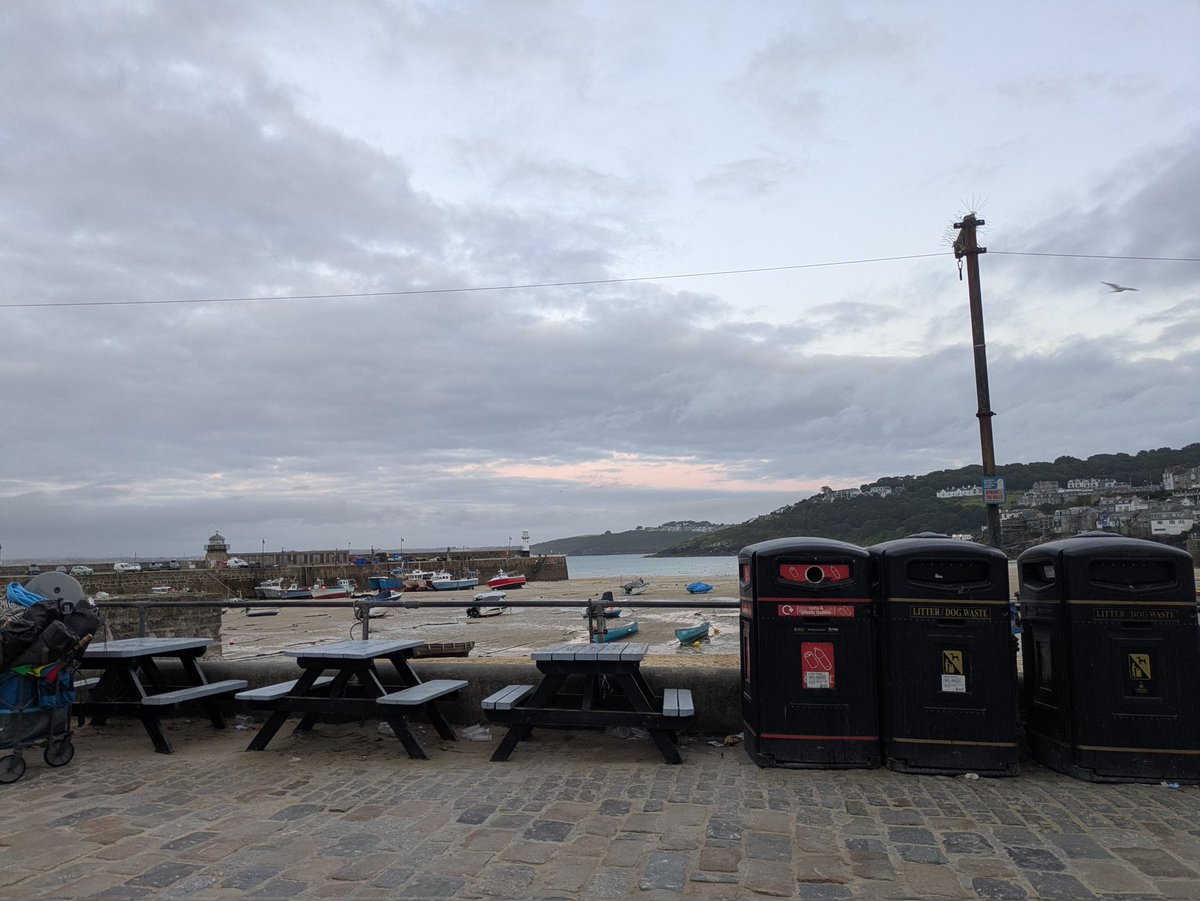 __LeftistVegan's tweet image. Pints and pups Cornwall edition featuring Bailey ππ»