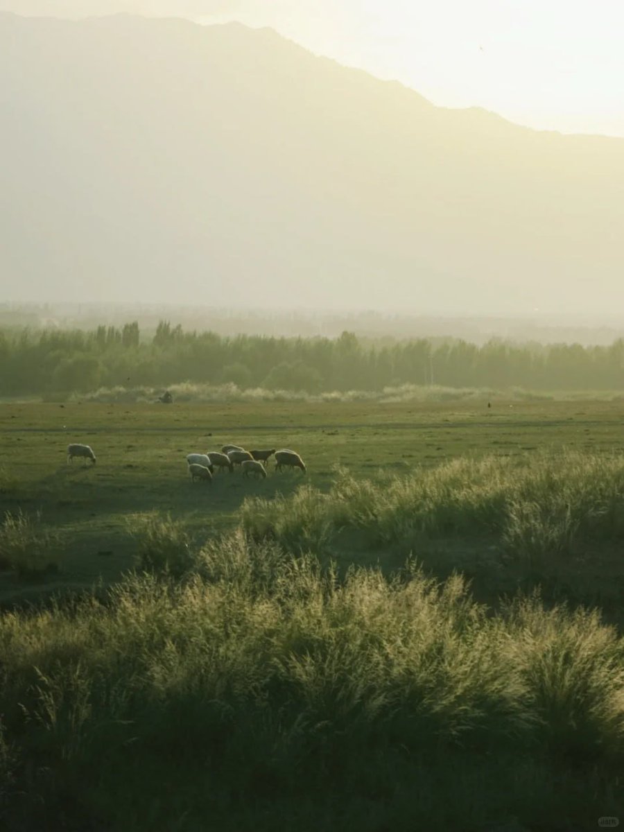 PATHOSRAY's tweet image. I am from Hong Kong  #nature