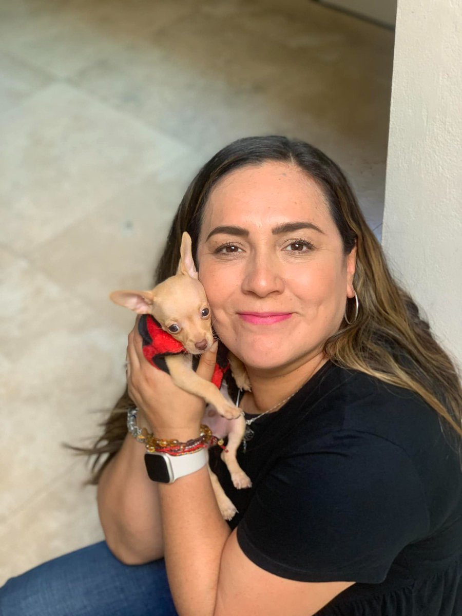 🐾 ¡Día Mundial del Perro!
Junto a mi pequeño 🐶 recordamos a Baileys. Su caso nos dolió, pero también nos despertó.
Baileys no fue solo un perro… fue un símbolo. De injusticia, sí, pero también de resistencia y esperanza. Hoy, honramos su memoria.

#JusticiaParaBaileys