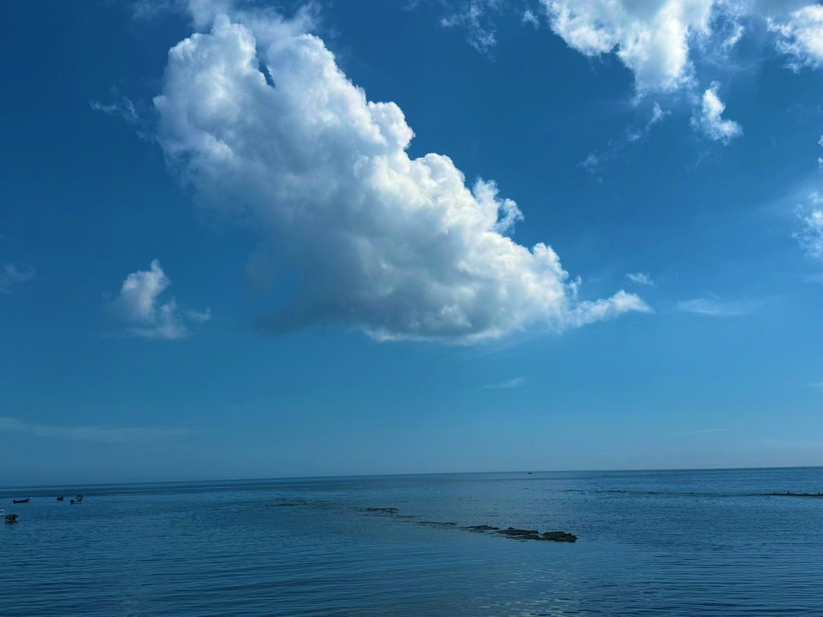 HelenBladette's tweet image. Such a wonderful day around the bay, beauty on our doorstep 🥰☀️🌊