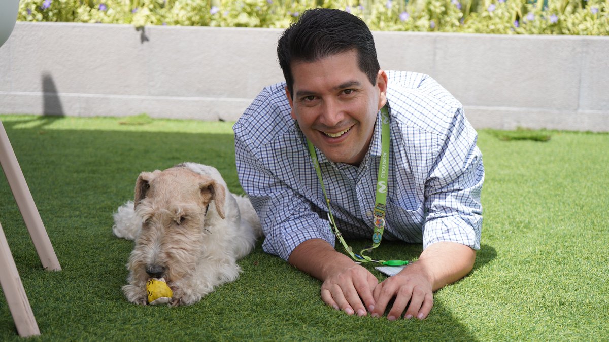 #DíaDelPerro 🐶

<a href="/MovistarEC/">Movistar Ecuador</a> cuenta con la iniciativa #FamilyPetFriday, un día cada mes en donde los colaboradores asisten a las oficinas a trabajar con sus mascotas 🐕

👇Detalles
telefonica.com.ec/ofiinas-pet-fr…

#VerteFelizNosMueve