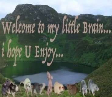 lxcygraybaird's tweet image. in case you’re new here…
⋆｡˚ ݁↟ 🌿 𓍊𓋼•✧˖°🧚🏻｡𖦹⋆ 𖠰 🍃⋆ ✧°. 𓃦
hi, i’m willow !! ty for visiting :)
she/they, ace lesbian, neurodivergent ginger from the midwest usa 
⋆✴︎˚｡⋆˚࿔
multifandom
more info about me + stuff i ❤︎ in the threads below !!