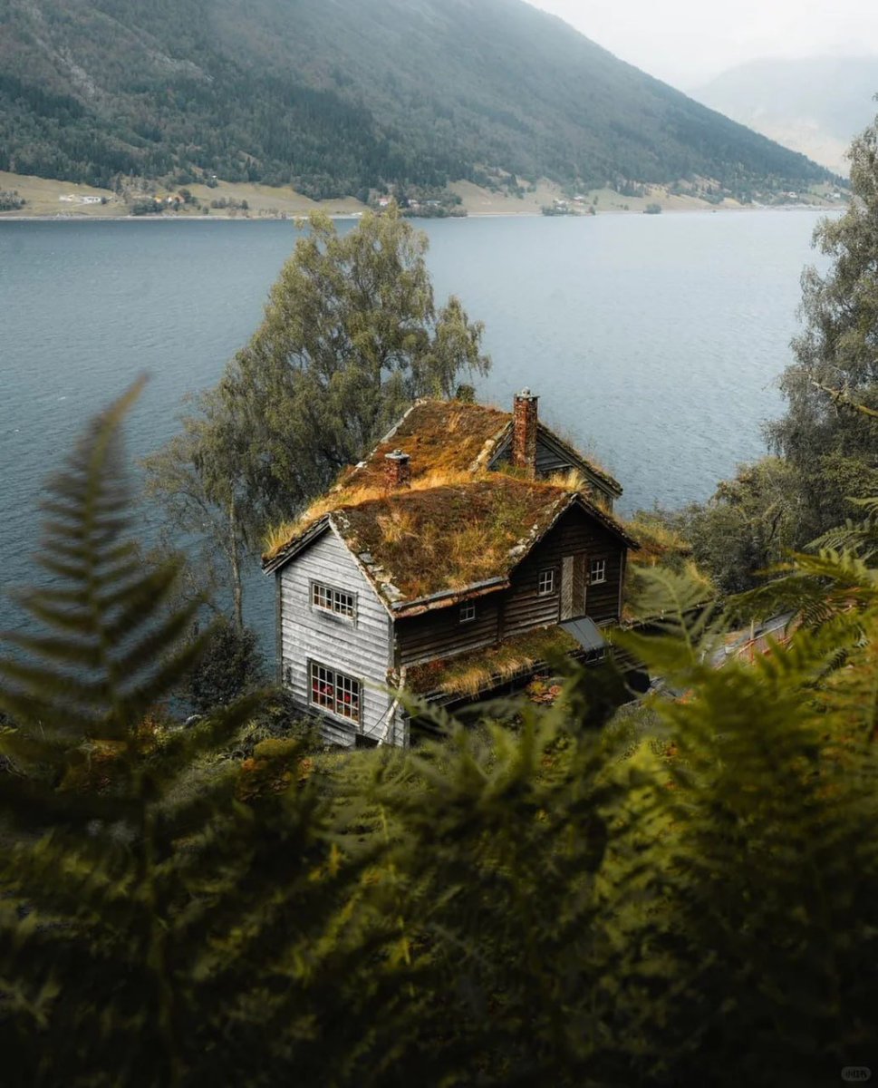 PATHOSRAY's tweet image. When I say that i live in the nature 😍