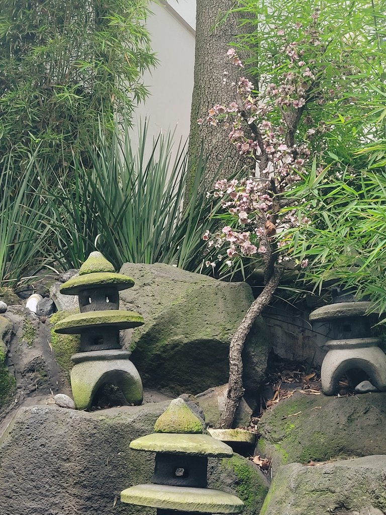 desconectadme's tweet image. saludos desde Japón...