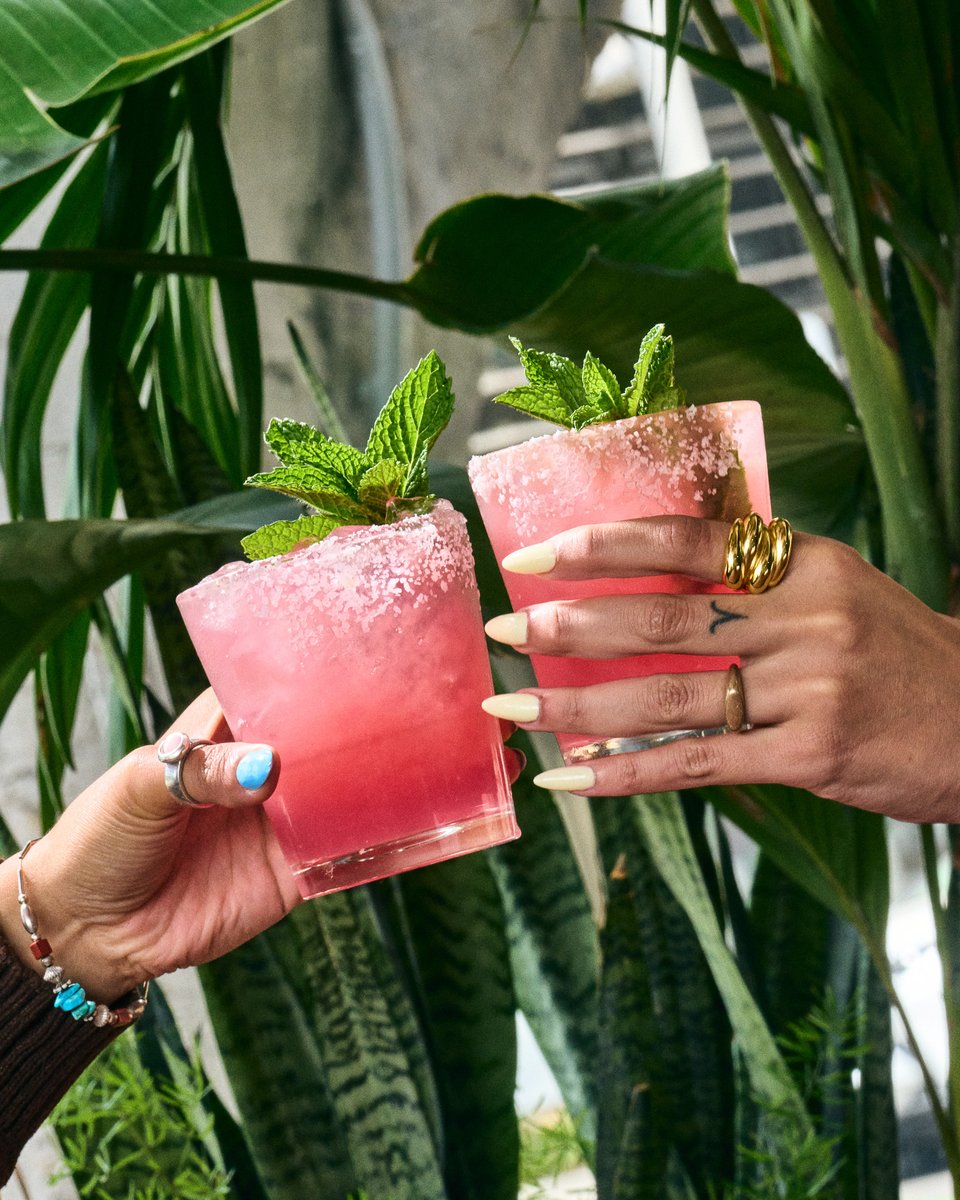 Pacific Catch tweet media