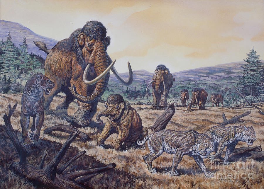 ausar_the's tweet image. Different ways of parenting, 67 million years apart. The hatchlings on the left long turned into dust or petrified bone by the time the adults on right are born.
(Art by Mark Hallett)