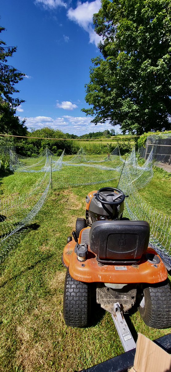 FredSimonTLM's tweet image. “How’s the solar fencing going?”