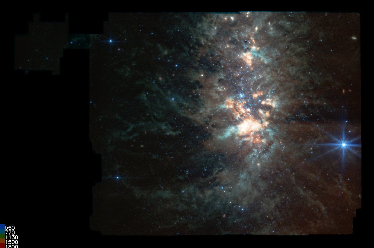 yuvharpaz's tweet image. גלקסיה NGC 1569 צולמה בינואר על ידי JWST, היום הנתונים הפכו ציבוריים אז יצרתי את התמונה. זה שילוב של 5 גוונים של אינפרא אדום, בפינה השמאלית למטה נמצאת ההמרה של פילטר לצבע.
הגלקסיה קרובה, קטנה ובוהקת, עם הרבה יצירה של כוכבים חדשים.
NASA, ESA, CSA, STScI
