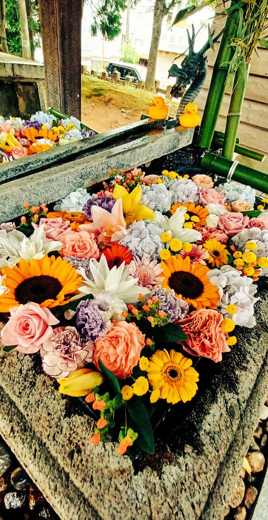 kSMSW32QEiymD2D's tweet image. 𝐺𝑜𝑜𝑑 𝑚𝑜𝑟𝑛𝑖𝑛𝑔
7月21日 ᵀᐡᵉˢ ☀
𝑆𝑡𝑟𝑒𝑛𝑔𝑡ℎ ♚˖*
富や名誉ある者が強いとは限らない
生まれつき⁉
でもなく
経験・努力により高めることが出来る
🫧 精神的
🫧 物理的
🫧 勢い
🫧 技量…
🌻人の強さ🌻
行動ではなく
黙って耐えた時間に宿る
そんな感じ~🕶w
↓ 花手水と🎐