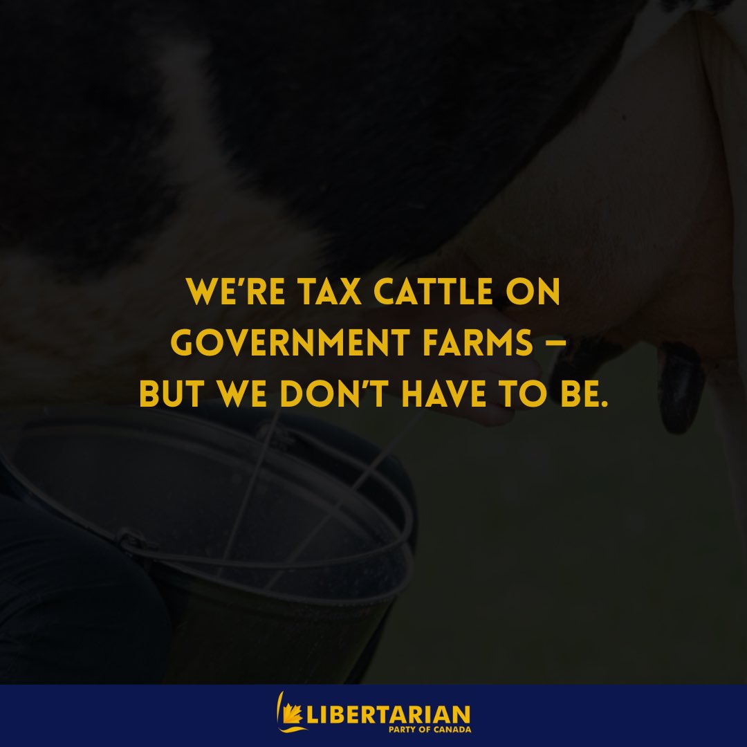 LibertarianCDN's tweet image. Voting for libertarians is the closest you can get to voting for yourself without standing for election.
We don’t want to rule.
We want to recognize your right to live your life on your terms provided the life, liberty and property of others is respected, too.
#cdnpoli