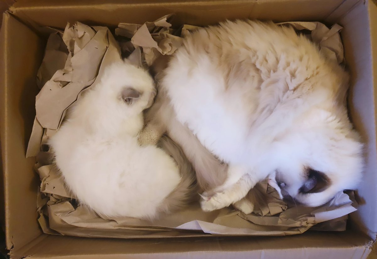 Box of floof