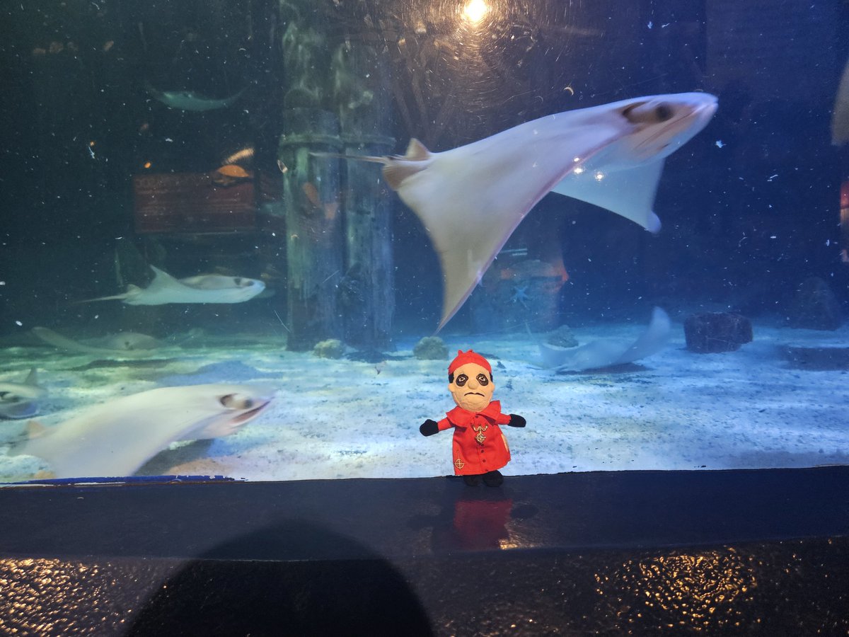 MuppetHell's tweet image. Small Plushia adventure