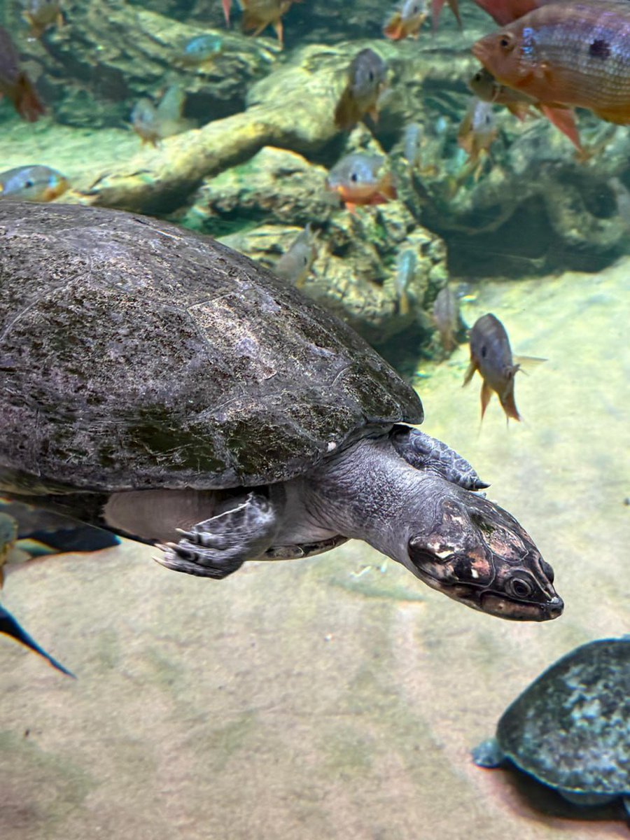 PATHOSRAY's tweet image. Communicate with nature, visit the areas that have real life, #nature