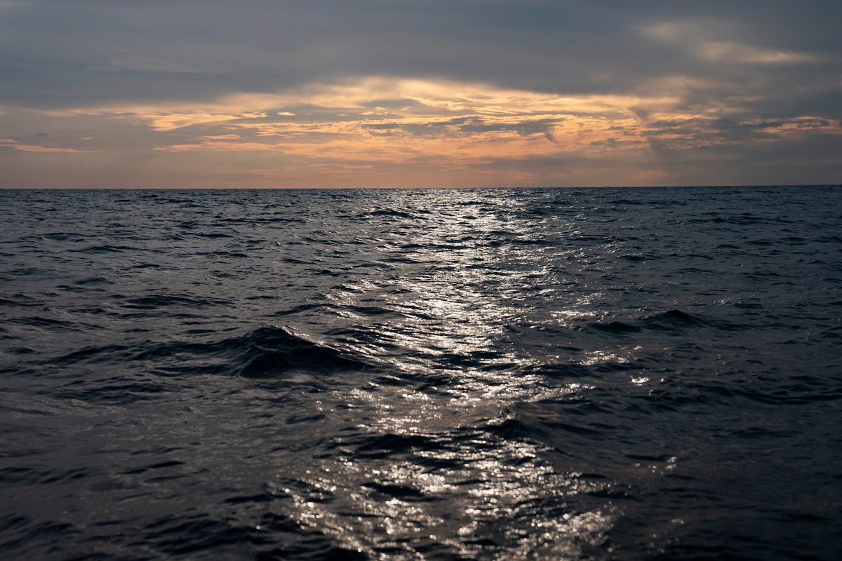 Scripps_Ocean's tweet image. 🌊 🚢 Investing in ocean science positions the U.S. as a leader in resilience and national security. Scripps' @Leinen4ocean joins @WHOI's @PdeMenocal & @JohnRichar74081 to advocate for funding @NOAA, @NSF & @USNavyResearch.
Read the @washingtonpost Op-Ed: bit.ly/3GVRksY