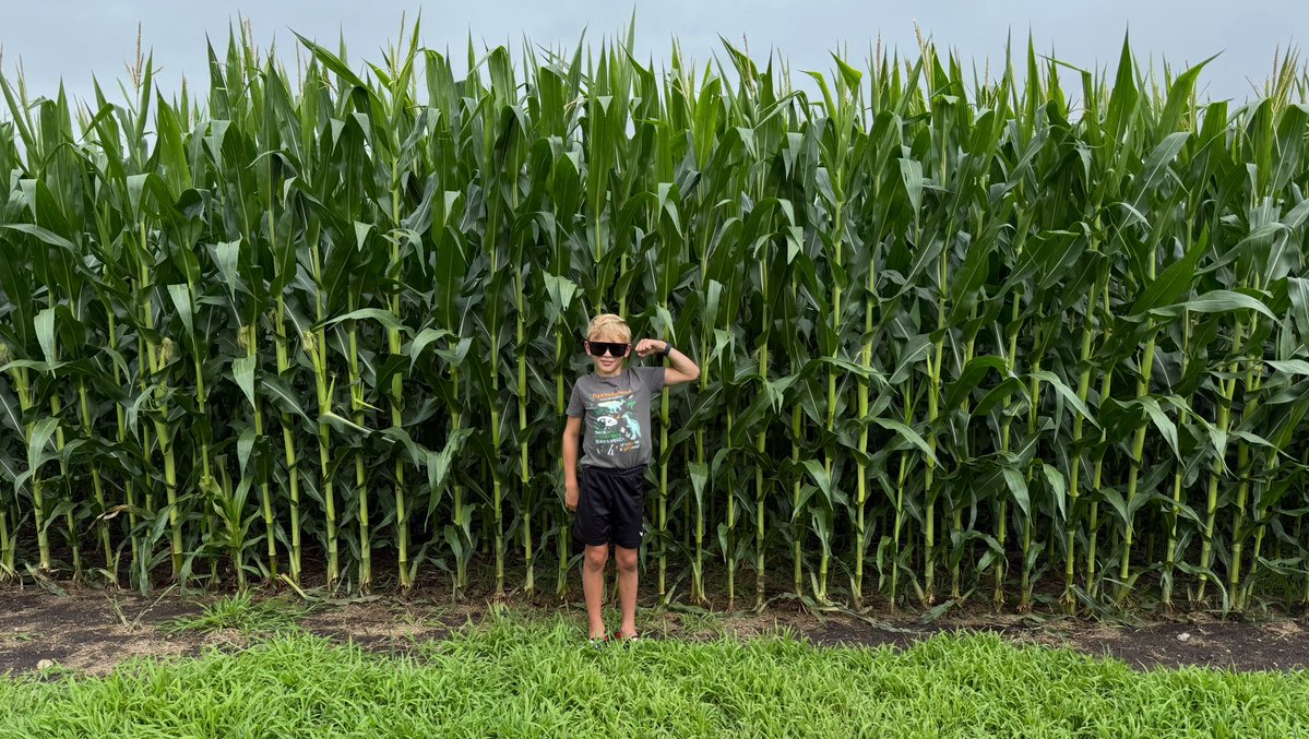 5150Farms's tweet image. Corn looking good Team no weeds on the edge🤟😃