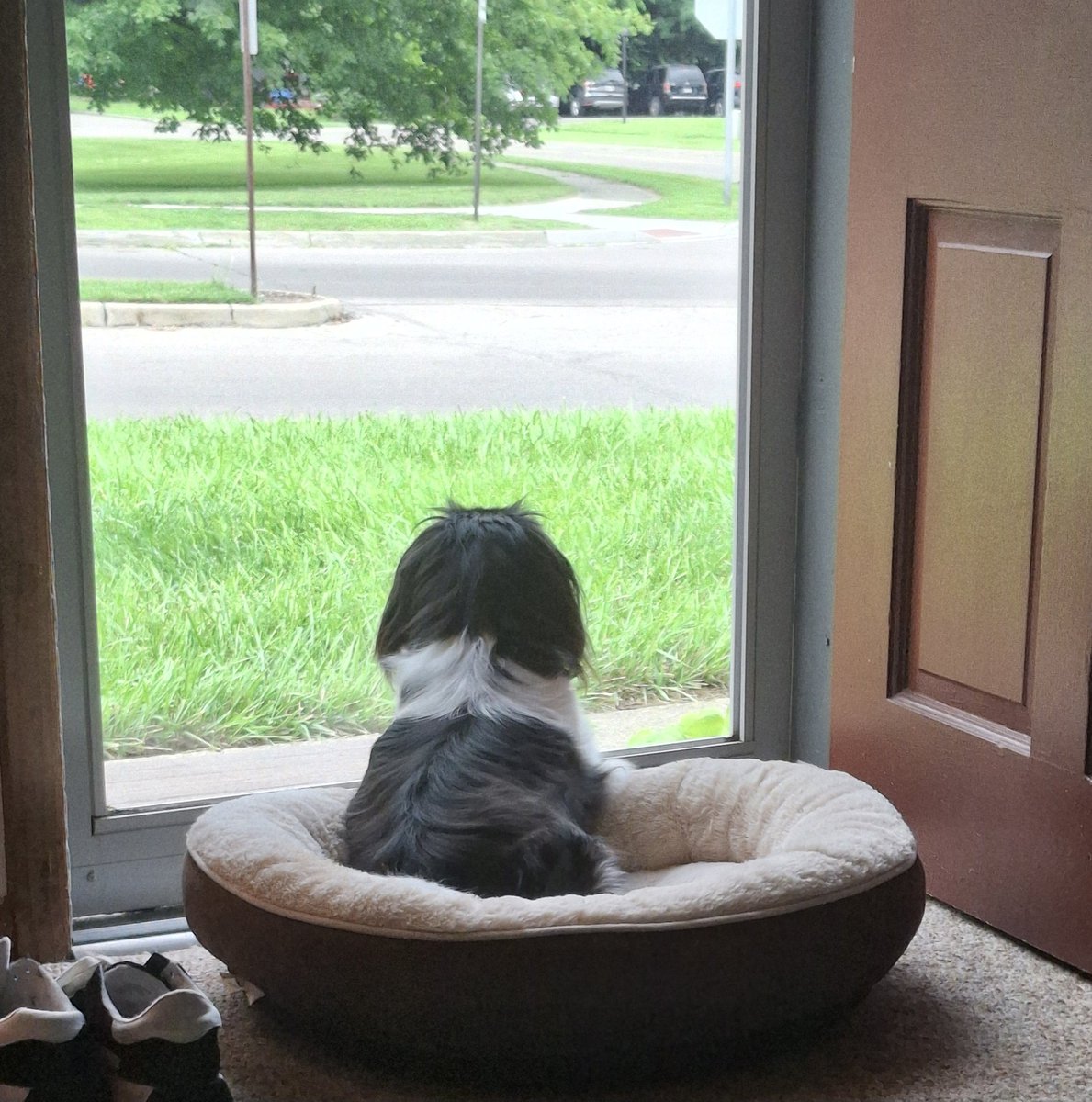 Does anyone watch Tulsa Kings? #TulsaKings. #SlyStallone
We like it a lot. 😀