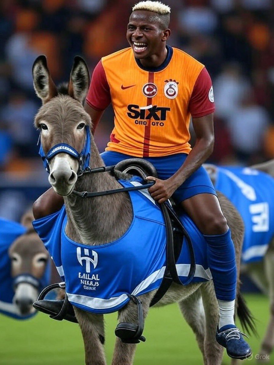 jeko✨💛🖤 tweet media