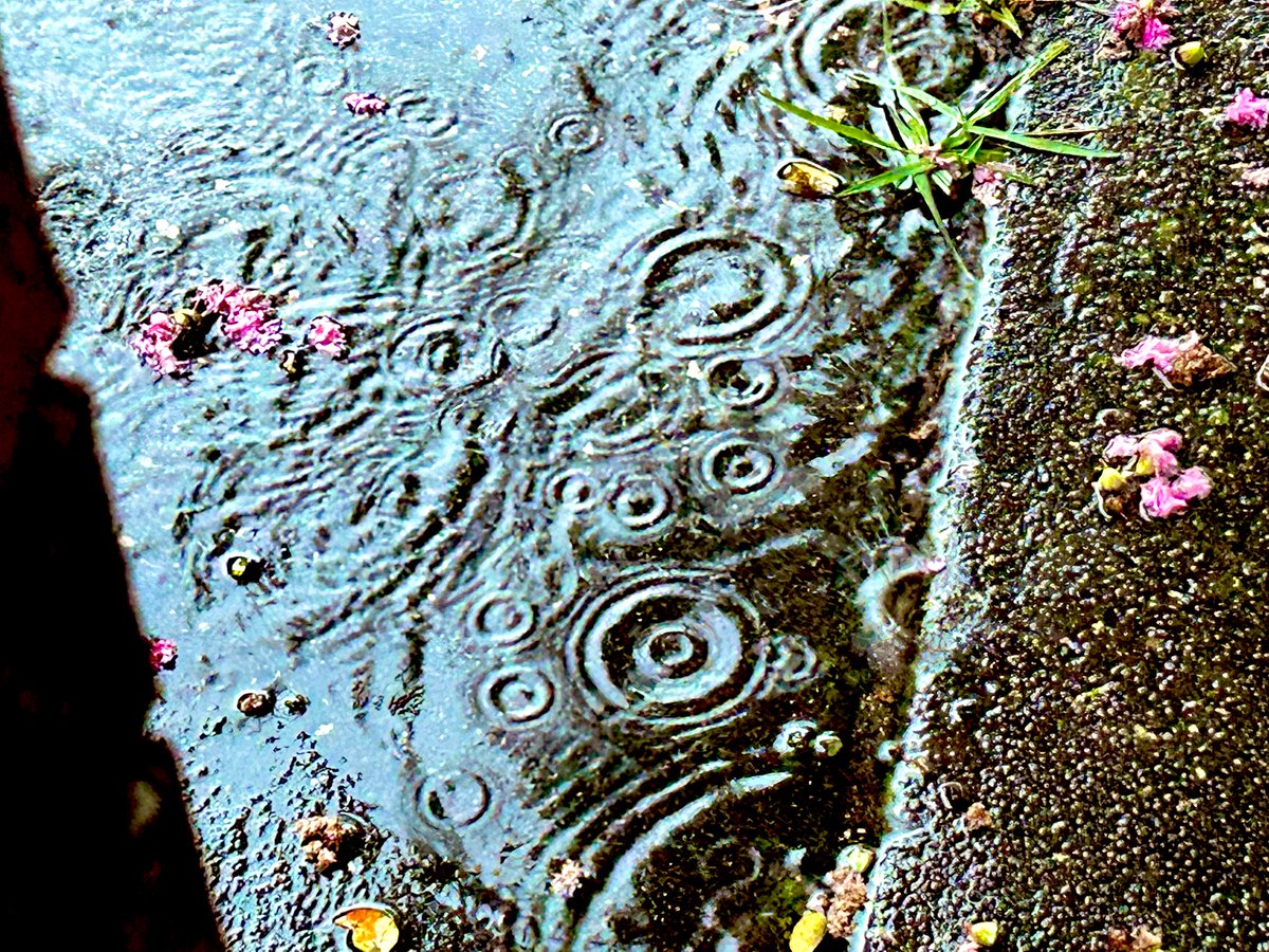 Chris Hoyle tweet media