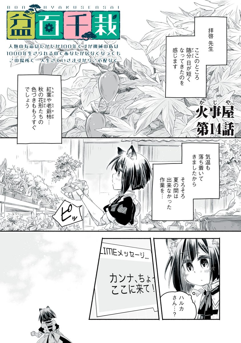 盆百千栽』無料話更新 第14話① 廃屋の中の盆栽たち ▽サクサク読