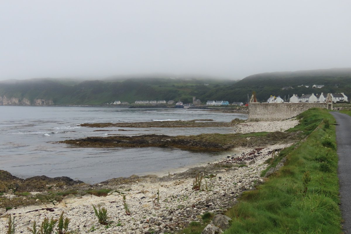 _Stickybeak's tweet image. A wet and foggy morning brought more migratory waders to Church Bay - a flock of 32 restless Redshanks included the first juvenile we've seen this year, and 7 Common Sandpipers also dropped in. This evening 50 godwits were travelling south high over Rathlin Sound