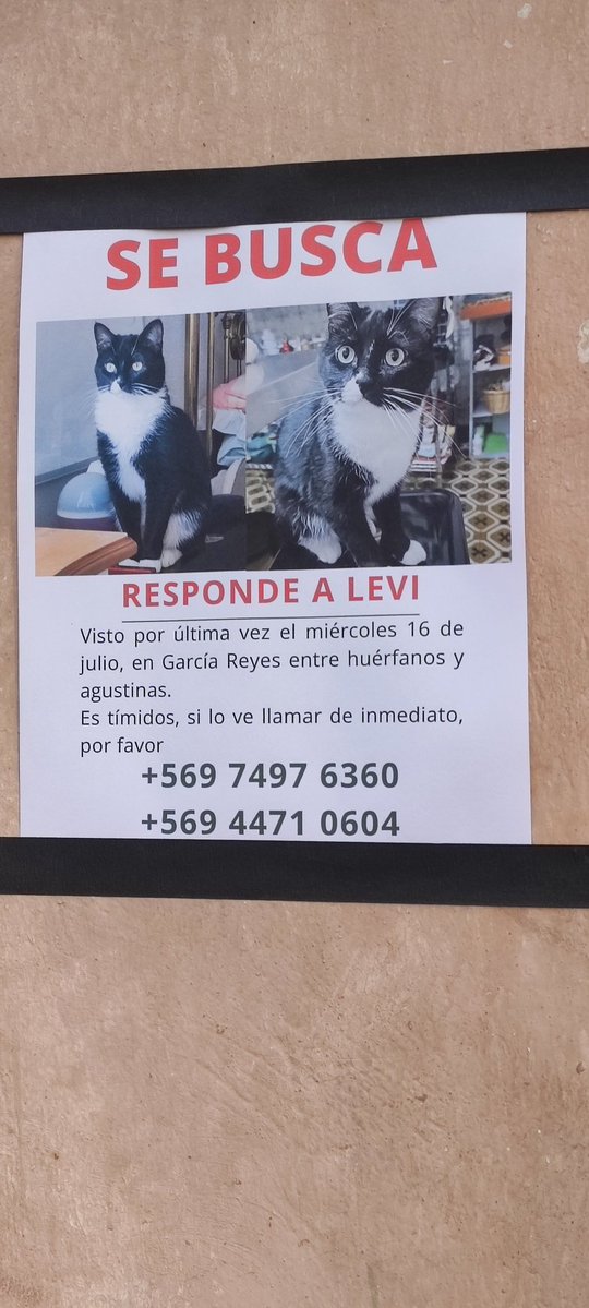 ATENCIÓN 
Buscan a este chiquito en Santiago Centro, Barrio Yungay, cualquier información 👇🏽
<a href="/CarolaCornejo7/">Carola Cornejo</a> <a href="/CarlosAmpuero/">ROBIN HOOD</a> <a href="/Ander_Zavala/">Viejo Perro Blanco 🍁🐱</a> <a href="/CarolinaSequel/">Carolina Sequel</a> <a href="/olivera_garr/">Marcela Olivera</a> <a href="/gatadyungay/">Gatita la del Barrio 🕉</a>