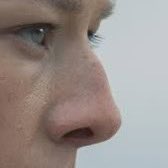 alicentmaxxing's tweet image. Alicent Hightower x Rhaenyra Targaryen’s nose (rhaenosicent)