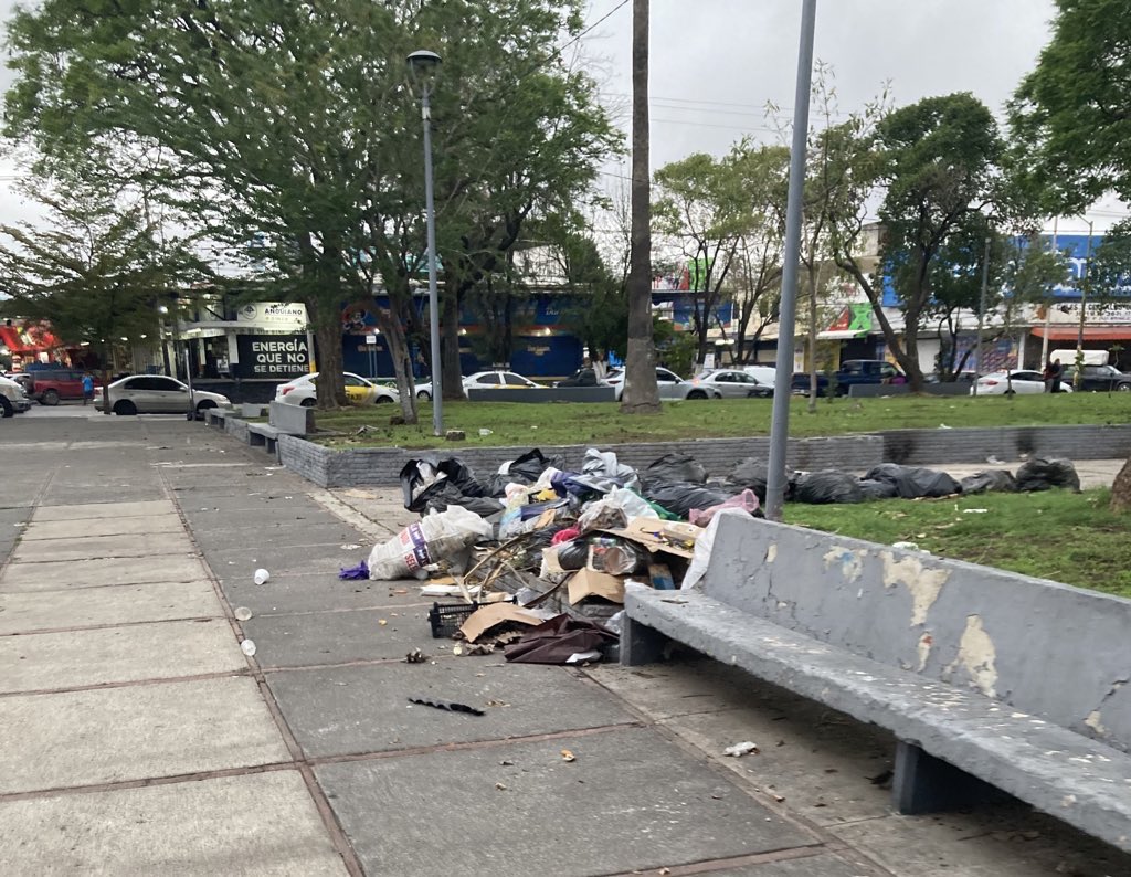 anvader_a's tweet image. Seguimos con la comparativa
Camellón de calle faro, 12 del personal de @GuadalajaraGob @VeroDelgadilloG limpiando cara 3 días
Y parque del mercado de abastos con basura, ratas, fuente con desechos humanos y árboles caídos desde hace meses
no es zona donde vive $
@Trafico_ZMG