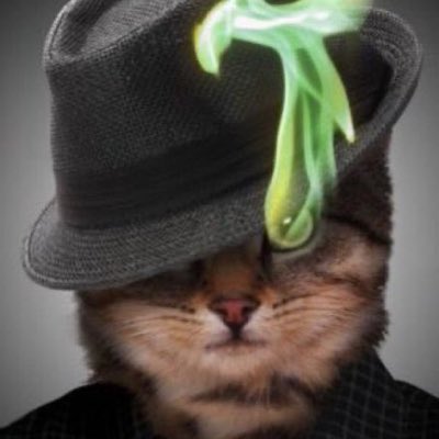 somerkiii's tweet image. #NewProfilePic