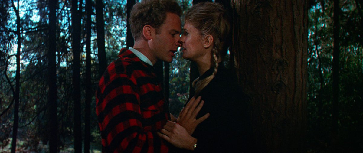 Slant_Magazine's tweet image. Mike Nichols’s divisive fourth feature CARNAL KNOWLEDGE gets a gorgeous new 4K transfer and a slate of diverse and informative extras courtesy of the Criterion Collection. Available tomorrow on 4K UHD Blu-ray. tinyurl.com/2sjs5t5f