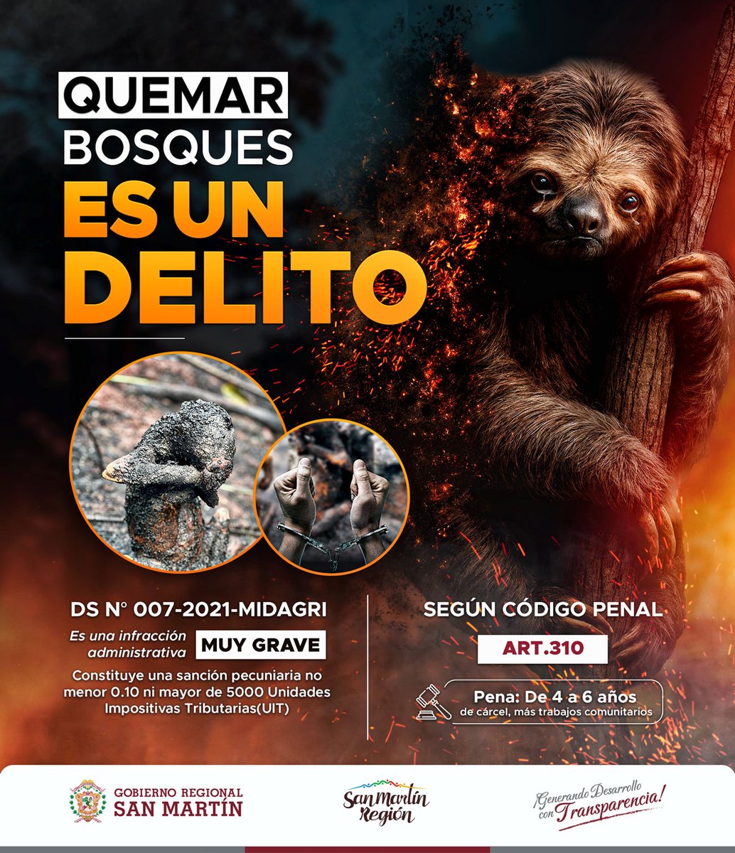 [ #noquemarlosbosques ] 🌿 𝗡𝘂𝗲𝘀𝘁𝗿𝗮 𝘀𝗲𝗹𝘃𝗮, 𝗻𝘂𝗲𝘀𝘁𝗿𝗼 𝗰𝗼𝗺𝗽𝗿𝗼𝗺𝗶𝘀𝗼