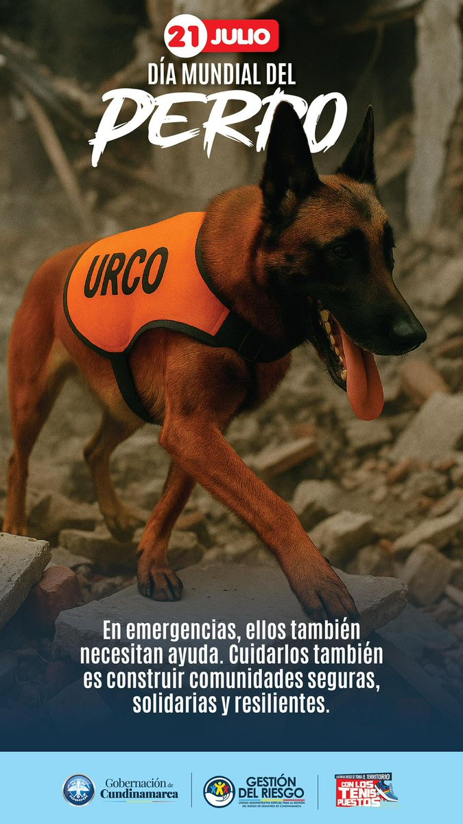 Nuestros compañeros de cuatro patas también hacen parte del territorio. En emergencias, ellos también sienten miedo. Por eso, cuidarlos, protegerlos y tenerlos en cuenta en el plan Familiar de Gestión Del Riesgo, es parte de una cultura de prevención. #DiaMundialDelPerro <a href="/ipybac/">IPYBAC</a>