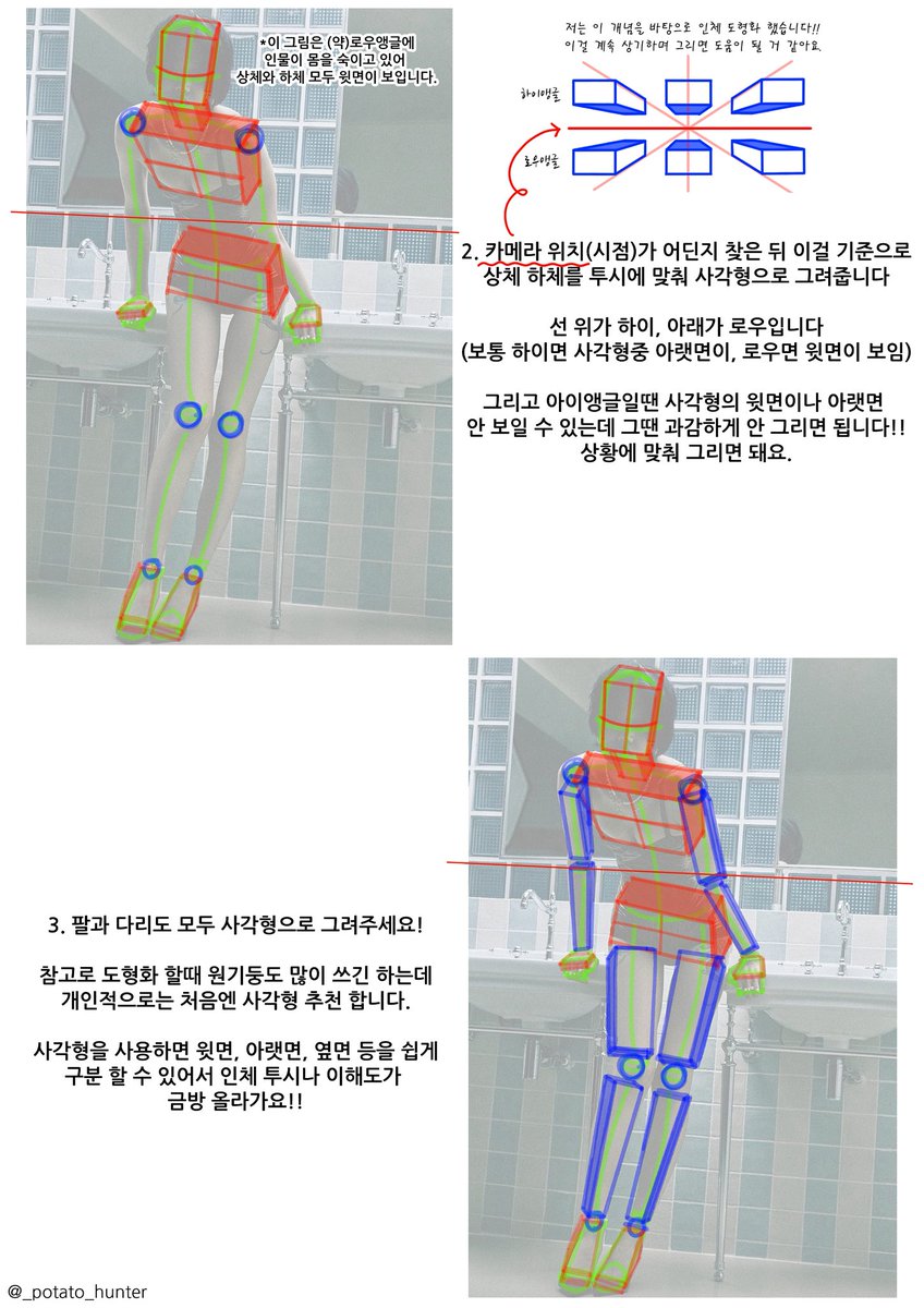 인체 도형화 정리글 올립니다 !!
(타래)