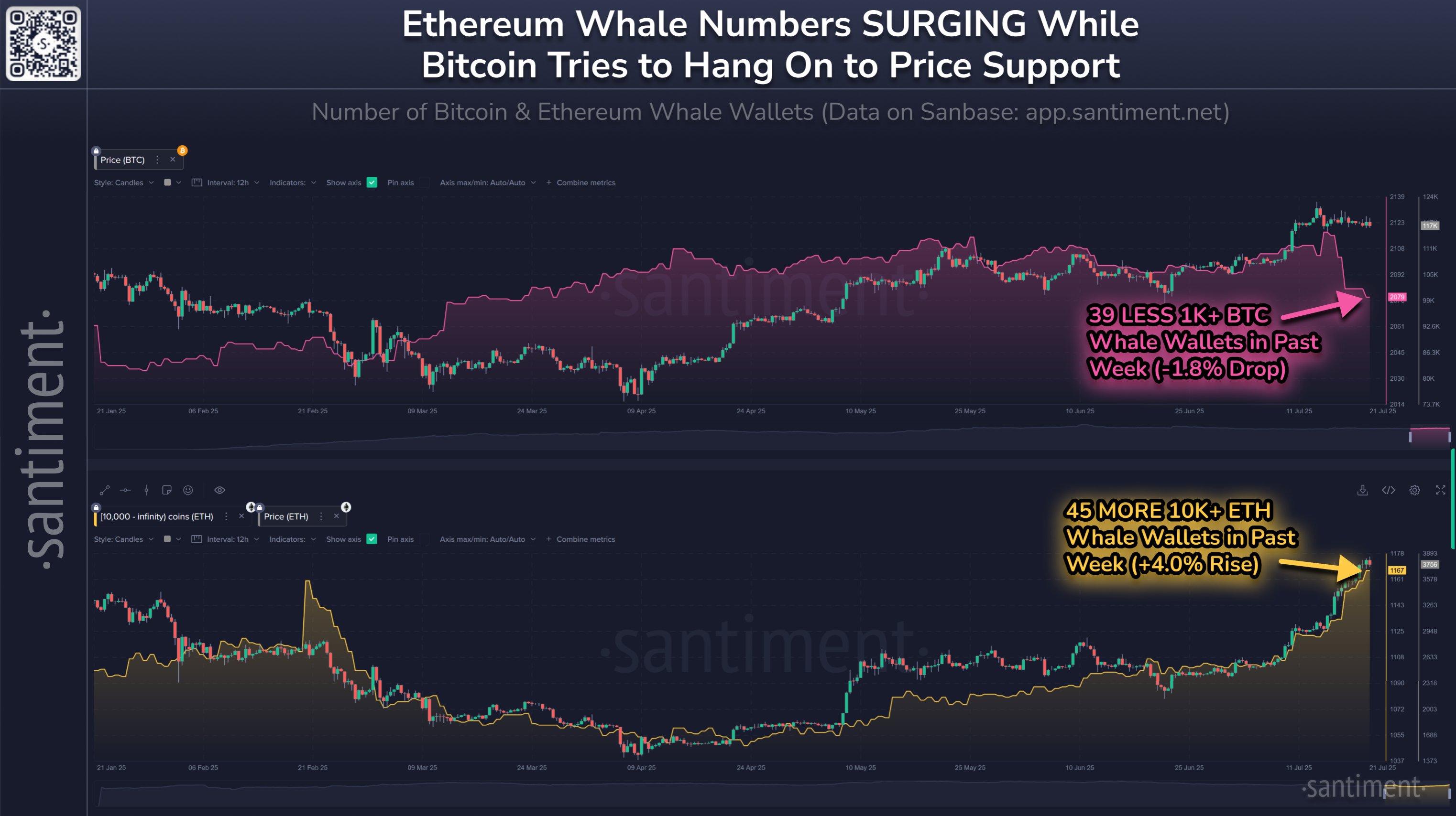 Ederum whales vs Bitcoin