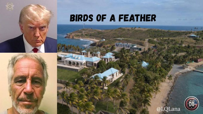DUnitedGraphics's tweet image. Trump and Epstein are birds of a feather who stuck together for 15 years.
They had secrets about each other that could have ruined their rich good lives.
Both of them should have been arrested long ago for their crimes to underaged girls.
Trump is on the list.
#DemsUnited