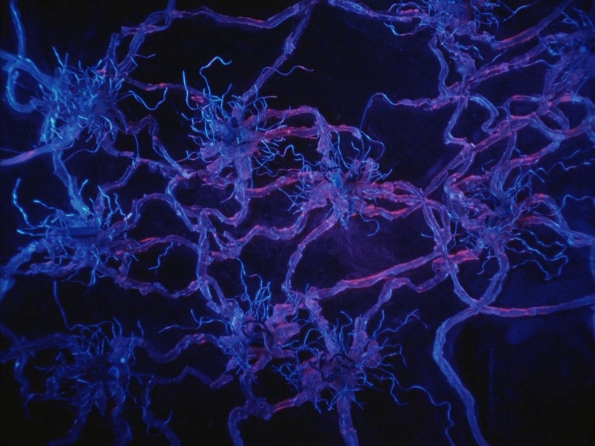 HighestMovies's tweet image. Tetsuo II: Body Hammer (1992) dir. Shinya Tsukamoto