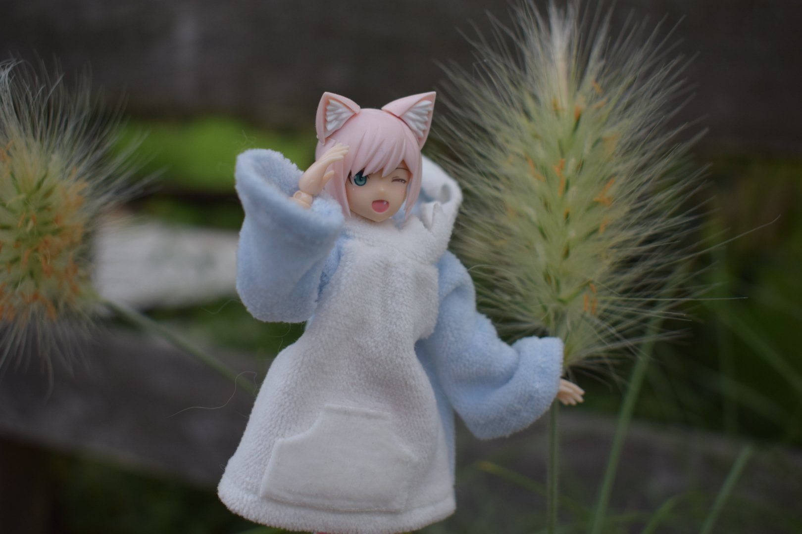 猫まっしぐら The Ichi（座市）- 猫まっしぐら店