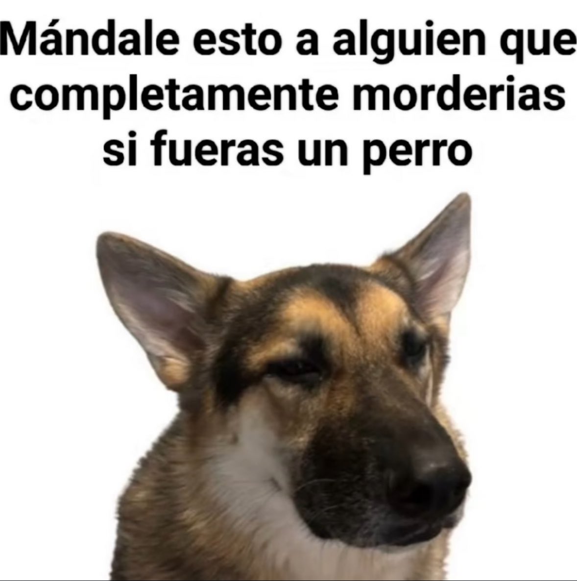 memefeos's tweet image. 