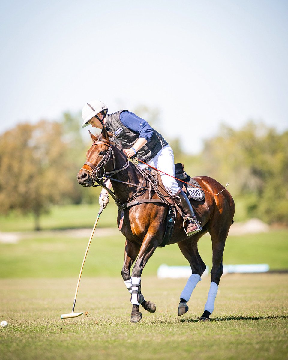 godolphin's tweet image. 🇺🇸💤🌙 Dreamy Night competed in the 2️⃣0️⃣2️⃣4️⃣ @RRP_TBMakeover!
🐴 Dreamy Night and her rider Ben Lynch play with the @lexingtonpolo and compete at the @KyHorsePark! Ben is very impressed with her progress since the Makeover, and looks forward to her bright future!…