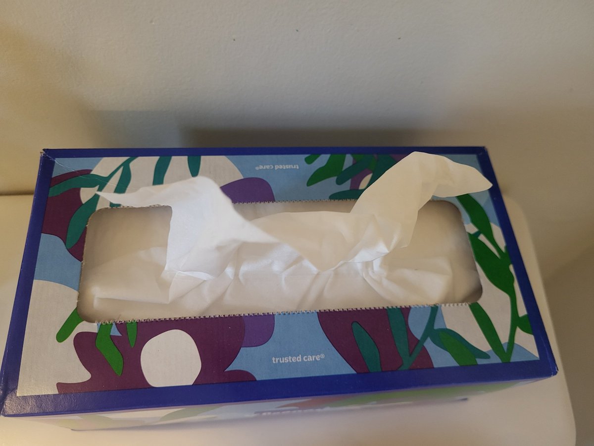 Mike_MacAdam's tweet image. Origami horse