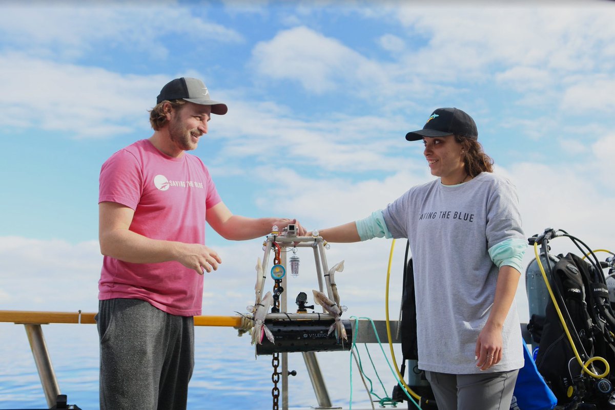 savingtheblue's tweet image. Hey Shark Week viewers, is anyone watching JAWS vs Kraken?? Here’s some behind the scene pics of some of our team members in action! 🦈