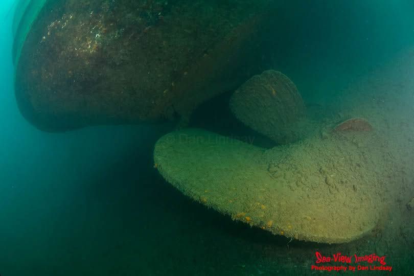 Steamer America (Transom, Rudder, and Buried Propeller) 

📸 Dan Lindsay (Sea-View Imaging) 
📍 Isle Royale, Michigan, USA 

Excellent photo Dan, thanks for sharing 🤿 ❤️ 👌