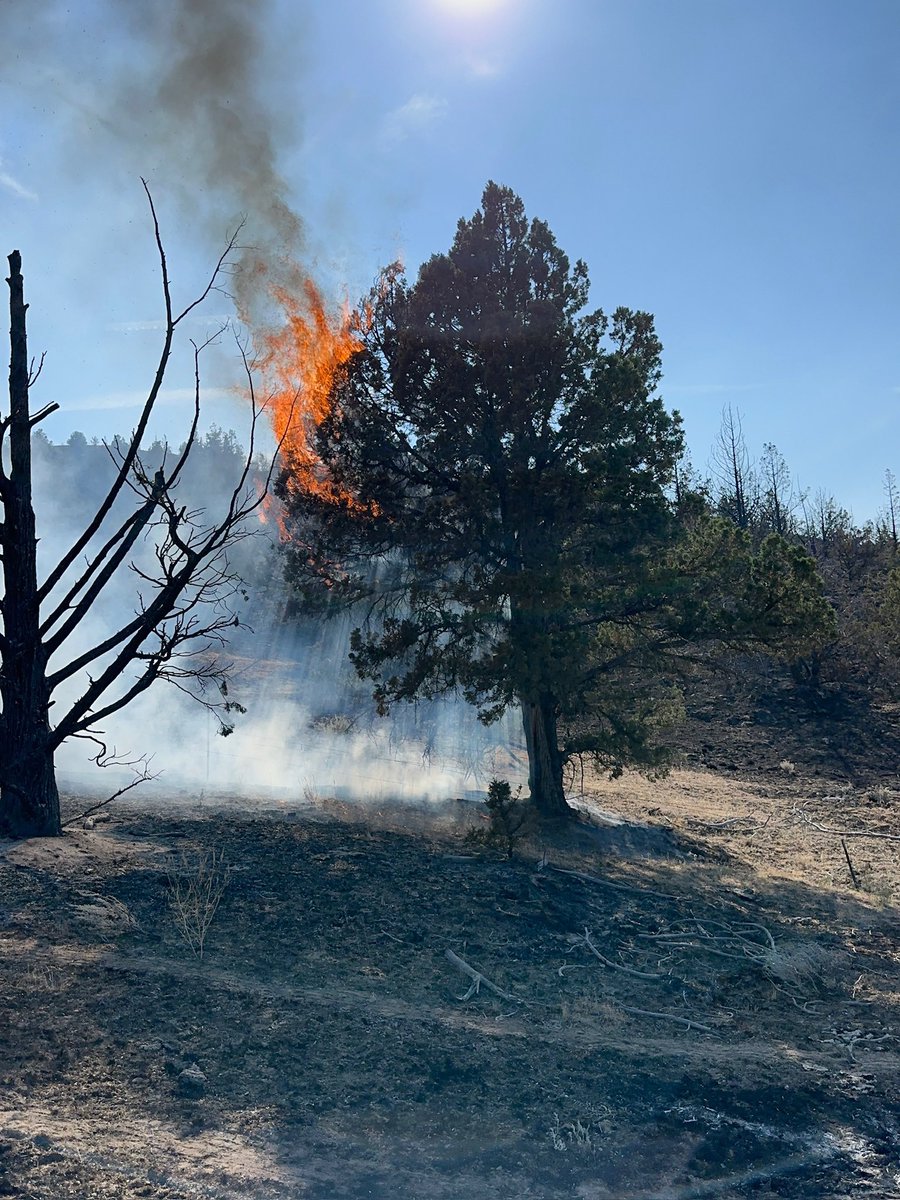 CALFIRELNU's tweet image. #CALFIRELNU Fire Captain Joe Petersen is on an assignment assisting with operations on the #CramFire in northern Oregon. There, he is one of six @CAL_FIRE employees filling overhead roles. Captain Petersen is a Task Force Leader working with engines, hand crews and other…
