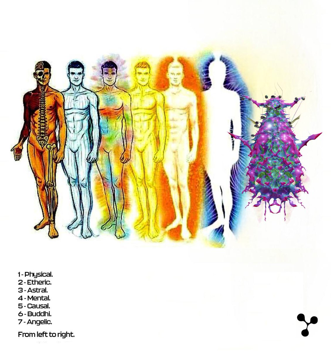 LifeFormsNFT's tweet image. in lifeforms we trust