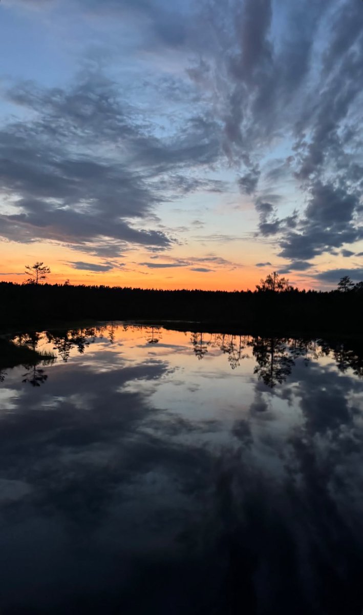 aron_updates's tweet image. 📸 | Paul goes for an evening walk at home in his latest Instagram Stories! 🌅